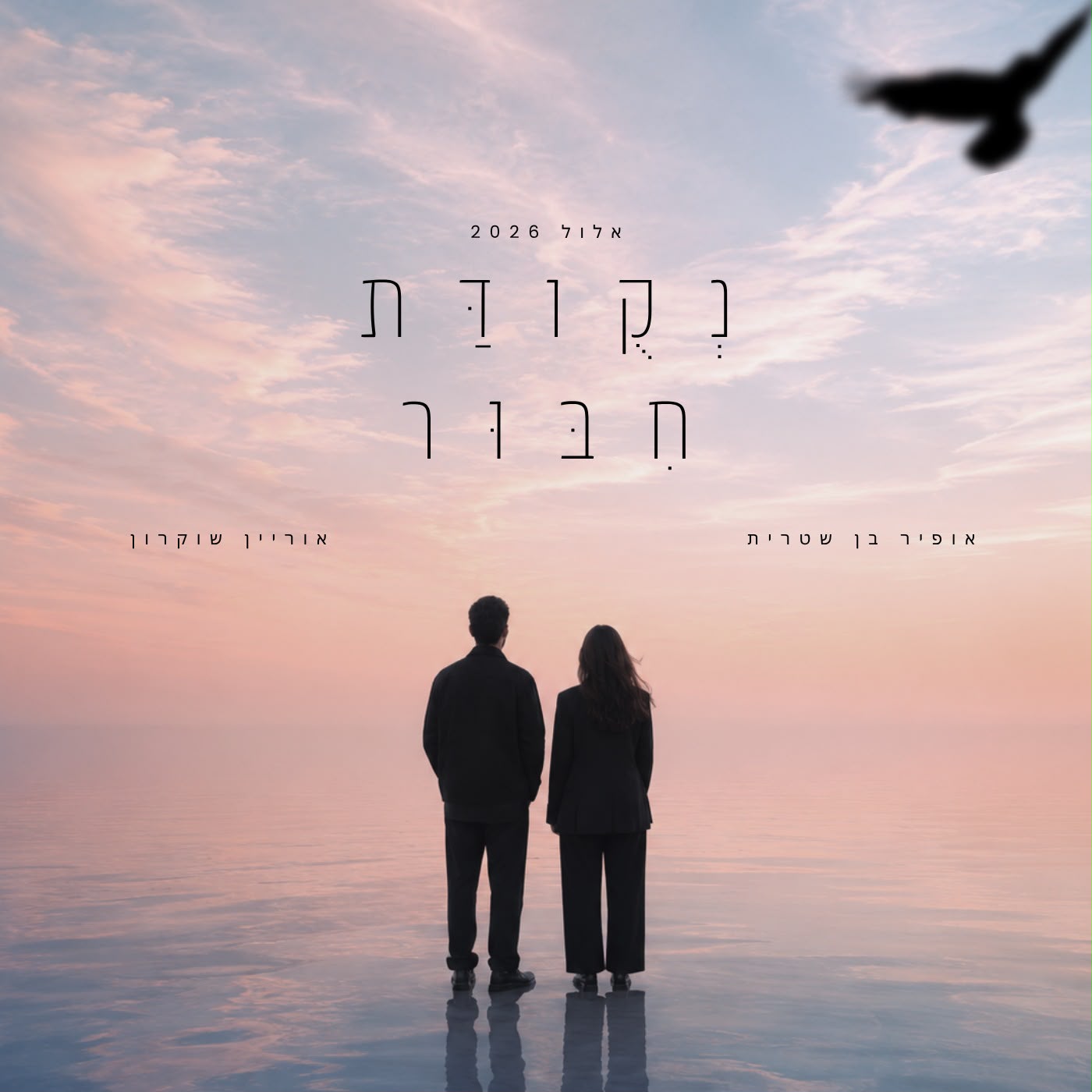 נקודת חיבור - מופע מוזיקלי